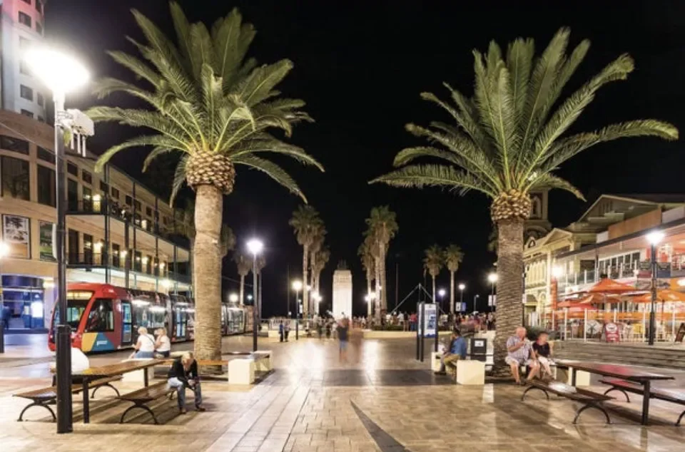 Glenelg at night with palm trees and tram